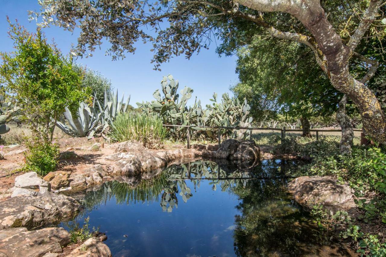 Monte Da Fornalha Borba Bagian luar foto